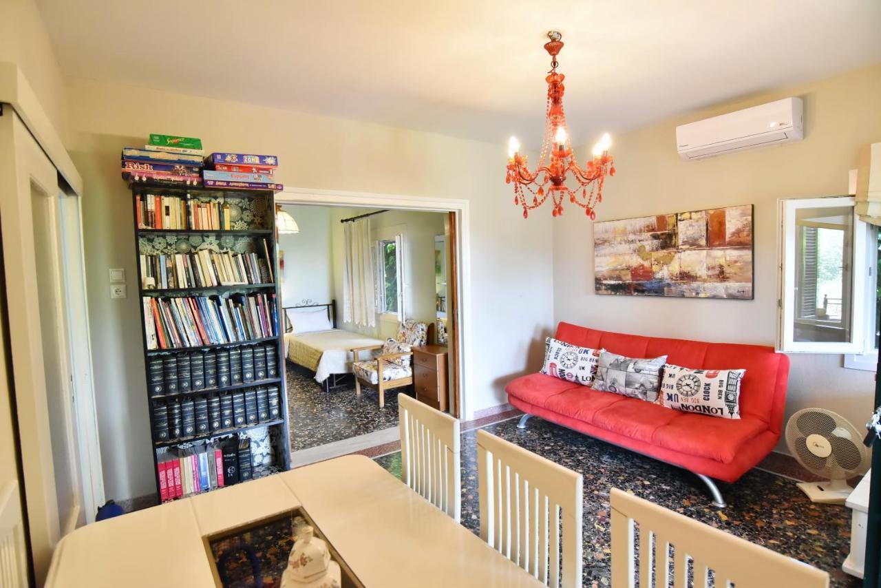 PalaiónTsiflíkion Xenophon House 빌라 외부 사진